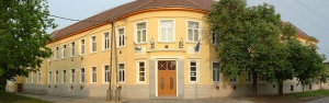 bacsbokod iskola